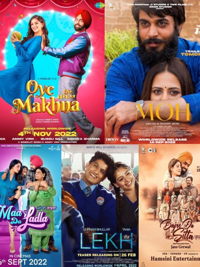 Five Punjabi films where solid stories blend with entertainment