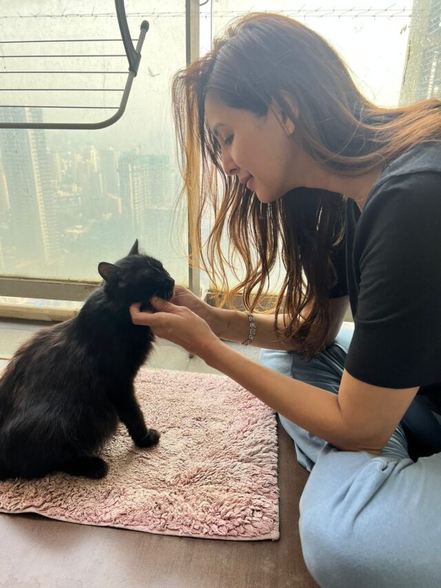 Chahatt Khanna Comes to the aid of a Stray Cat that needed medical attention 2 Chahatt Khanna Comes to the aid of a Stray Cat that needed medical attention