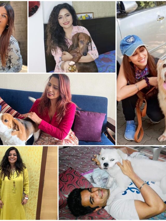 On National Pet day- Celebs laud new law that offers protection to animal caregivers feeding strays, taking care of them