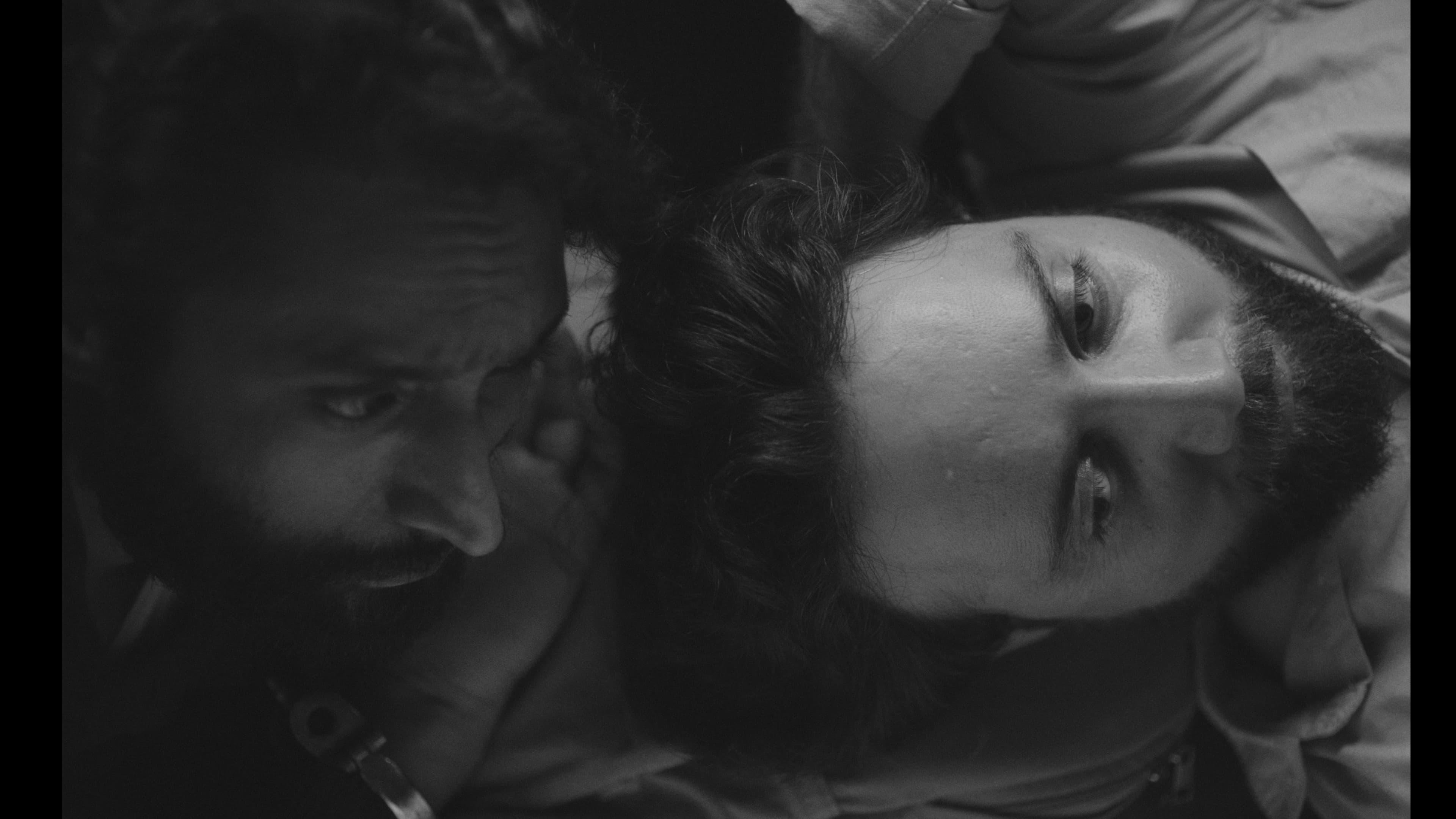 Shashank Walia’s ‘Birds In The Dark’ Wins Audience Award At 31st Busan International Film Festival
