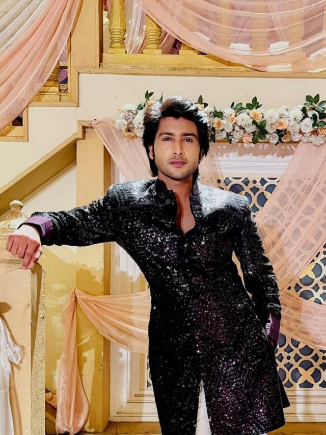 Achal Tankwal says Radhey in Nath-Zewar Ya Zanjeer is an ideal character: He died twice but came back every time given all the love viewers shower upon him