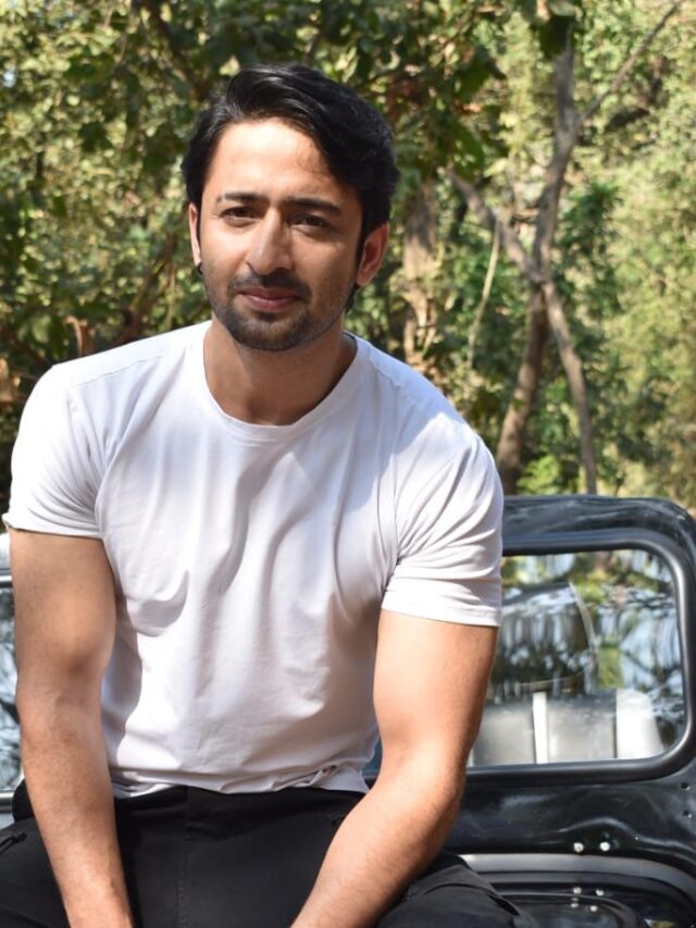 Shaheer Sheikh on Rajan Shahi's Woh Toh Hai Albela: In the coming week, the audience will witness something very drastic