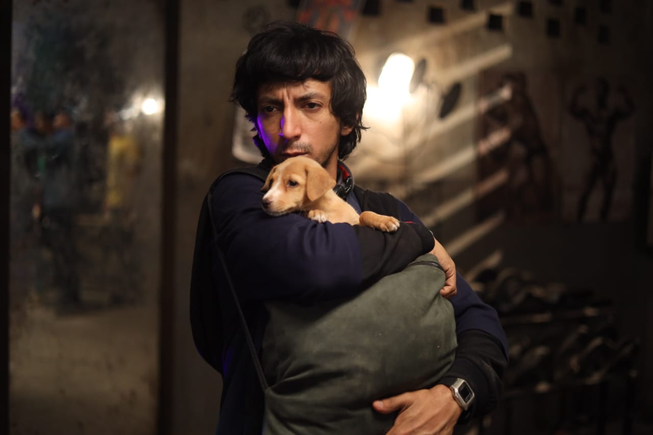 India’s first ever film about an animal lover vigilante, Lakadbaggha pulls off a strikingly innovative marketing campaign - Shonku Kahan Hai?