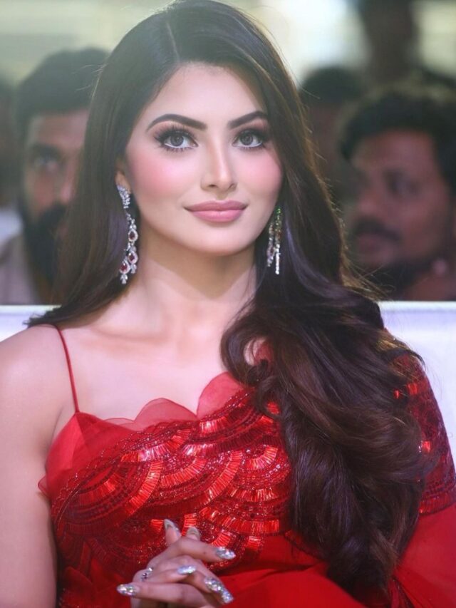 Urvashi Rautela’s and Megastar Chiranjeevi Blockbuster film Waltair Veerayya is confirmed to release on Netflix & creates a mass rampage at the box office