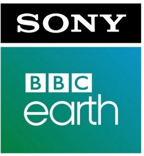 Celebrating 7 Years of Sony BBC Earth: 7 Must-Watch Shows to Tune Into