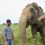 Instead of getting Bappa home, I am raising money for an NGO that works towards the cause of aging and injured elephants: Anuj Sachdeva on Ganesh Chaturthi