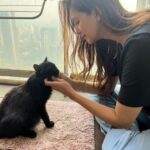 Chahatt Khanna Comes to the aid of a Stray Cat that needed medical attention