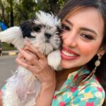 Aditi Shetty praises new law mandating care for stray animals