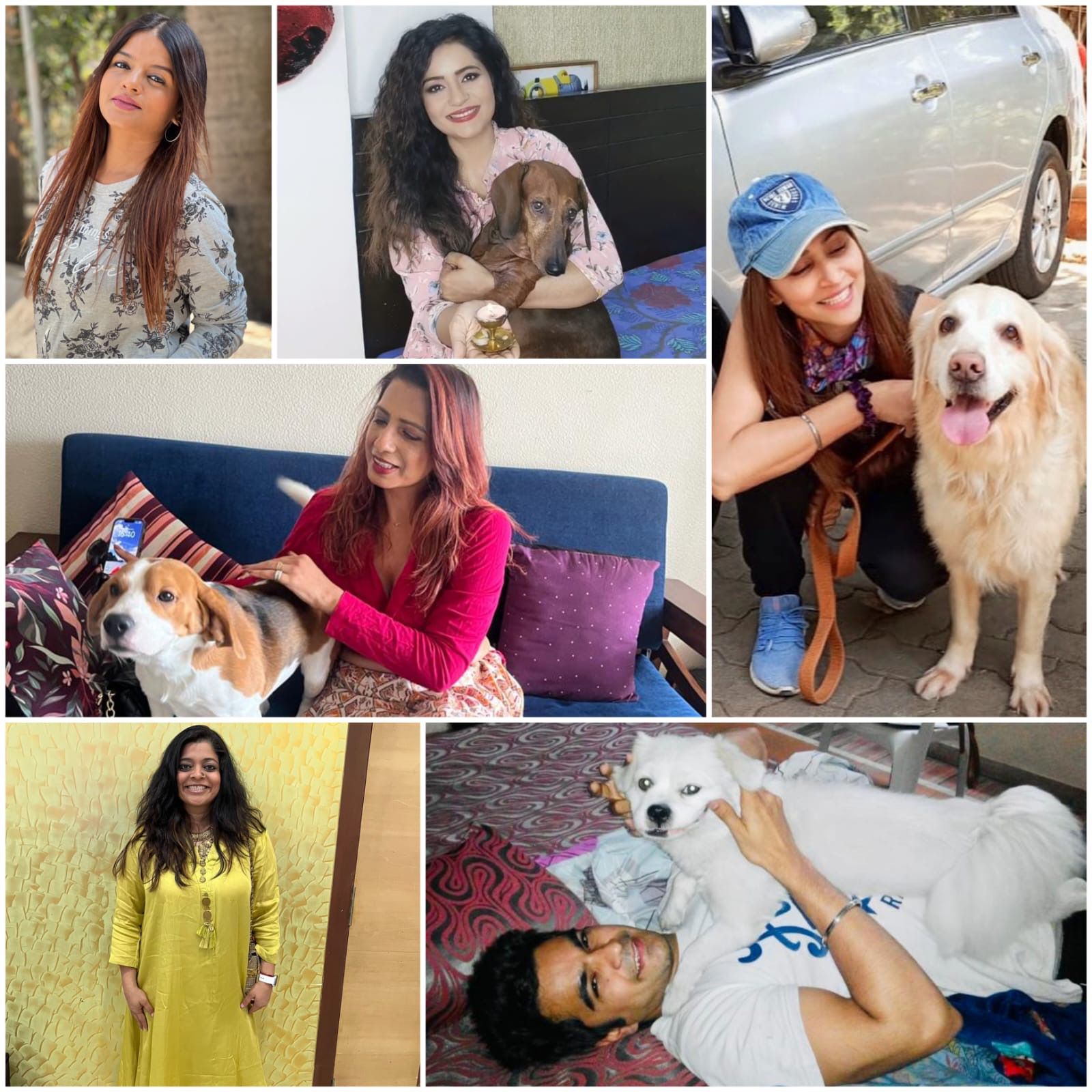 On National Pet day- Celebs laud new law that offers protection to animal caregivers feeding strays, taking care of them