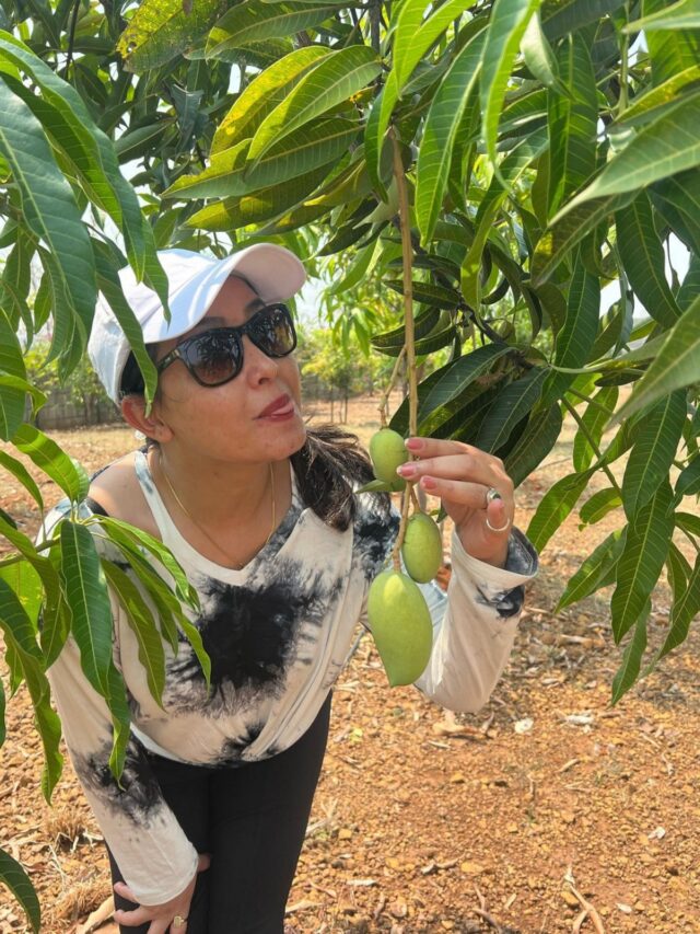 Go Bananas Over Delicious Mango Recipes: Indulge in a Mango Extravaganza with &TV Artists!