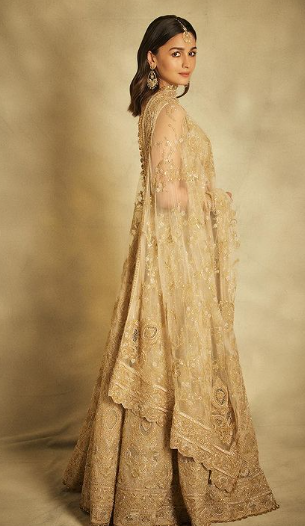 Alia Bhatt and Ranbir Kapoor's Magical Moment at Anant Ambani and Radhika Merchant's Pre-Wedding Gala 3 image 45