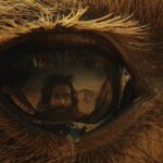 WhatsApp Image 2024 03 29 at 1.32.30 PM