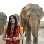 WhatsApp Image 2024 05 21 at 12.45.50