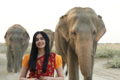 WhatsApp Image 2024 05 21 at 12.45.50