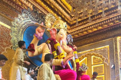 WhatsApp Image 2024 09 13 at 17.14.43