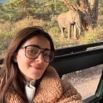 463426116 943402374280358 3910485084417196979 n