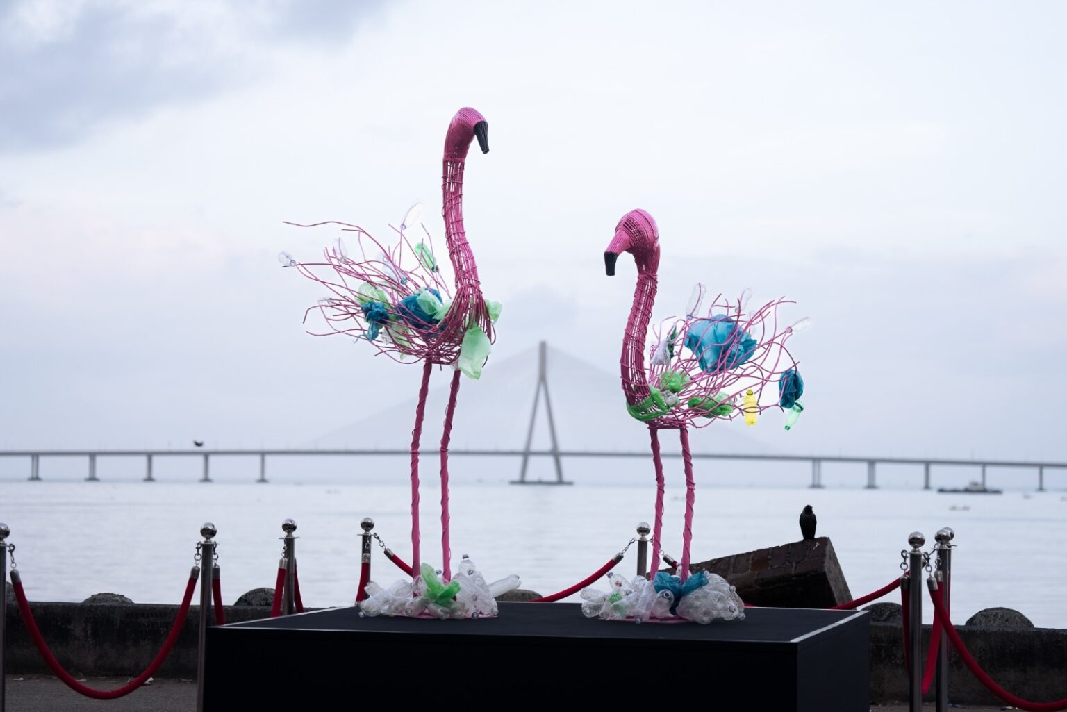 WhatsApp Image 2024 10 04 at 15.45.59