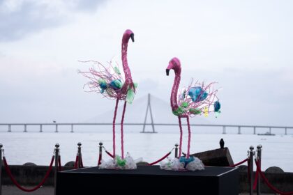 WhatsApp Image 2024 10 04 at 15.45.59