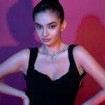 WhatsApp Image 2024 11 18 at 13.12.54