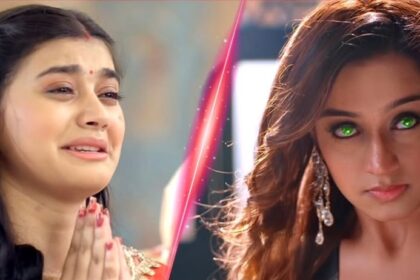 WhatsApp Image 2024 12 04 at 17.05.45