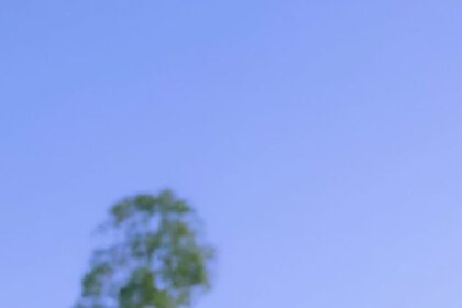 5f7c554a7529704e9cca631fa52c3532