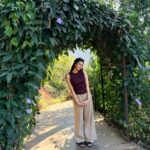 WhatsApp Image 2026 01 22 at 19.32.49